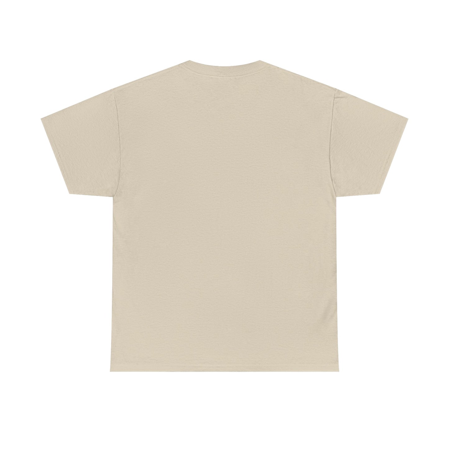 Believe Christmas Train T-Shirt