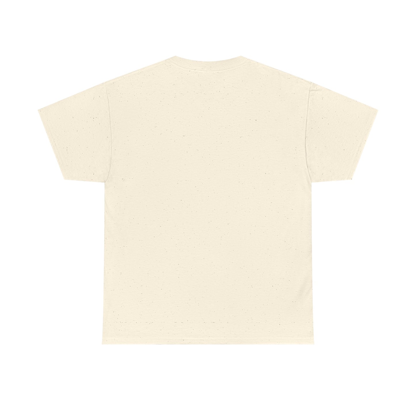 Believe Christmas Train T-Shirt